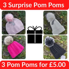 3 Surprise Pom Poms (Hats Sold Separately)