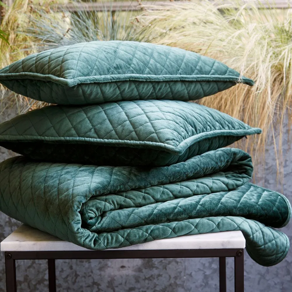 Christy Edmonton Filled Cushion in Moss