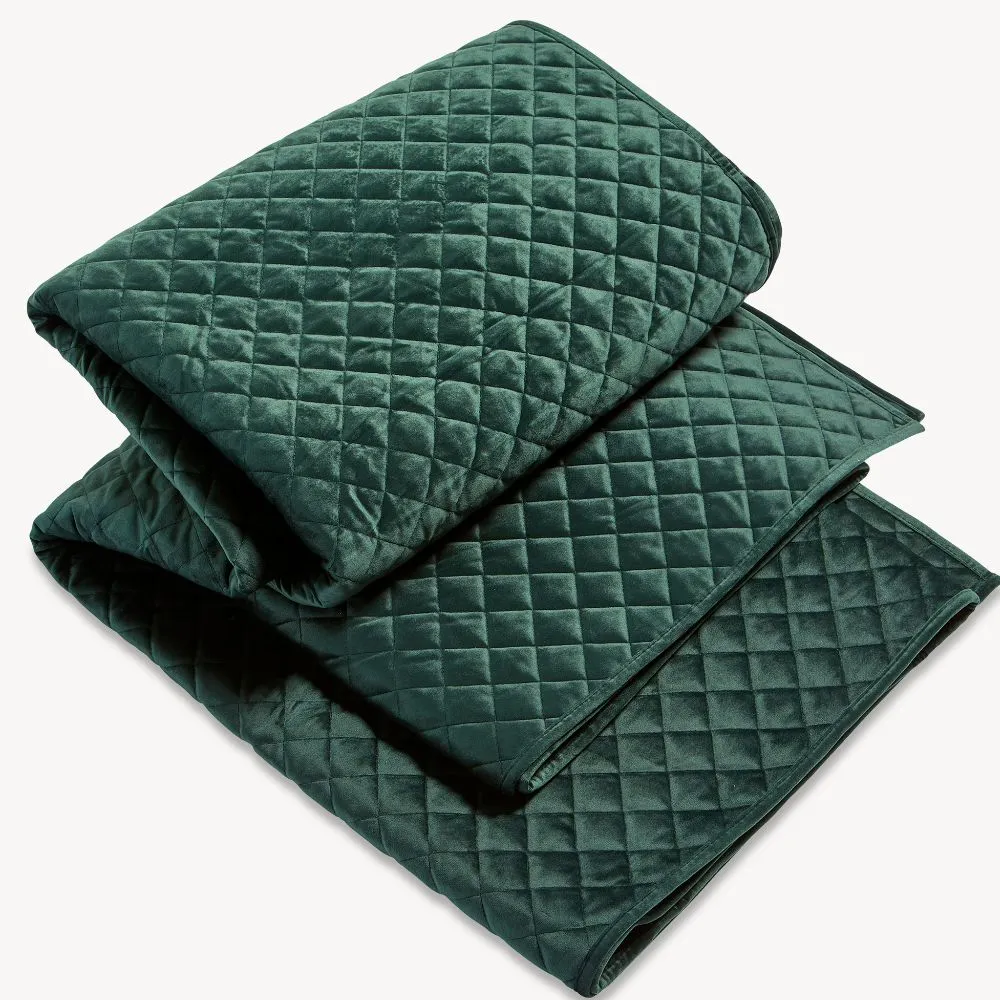 Christy Edmonton Filled Cushion in Moss