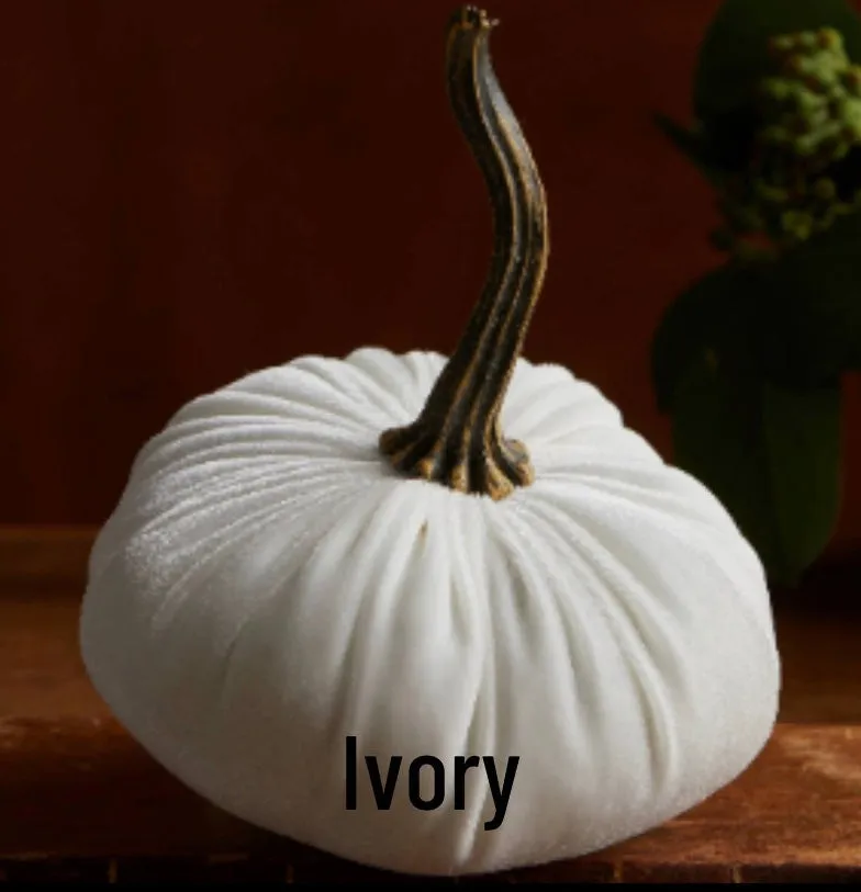 Small Velvet Pumpkin