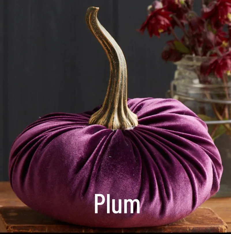Small Velvet Pumpkin