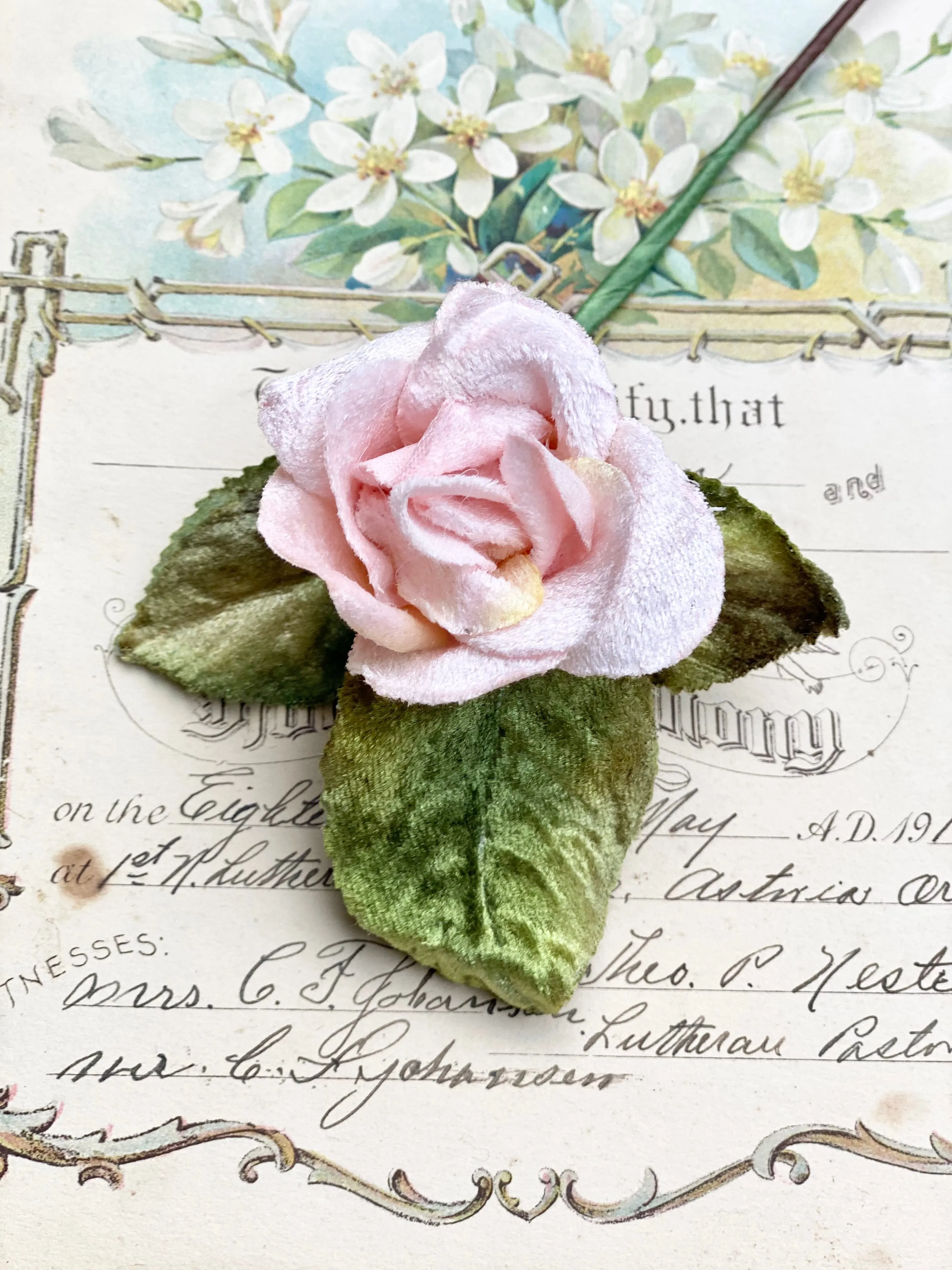 Small Velvet Rose Pink