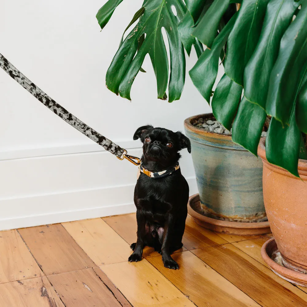 Velvet Leash - Sage